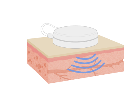 front-row-2_principle-image